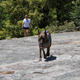 Illustration for article titled A hike with Toby and Mrs. IM at Willow Creek. (Angel Falls)